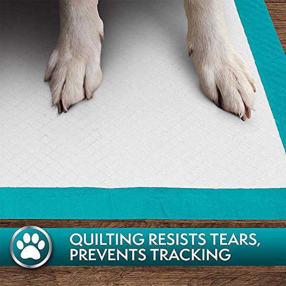 Simple Solution Extra Large Training Pads - Pet Supplies online store