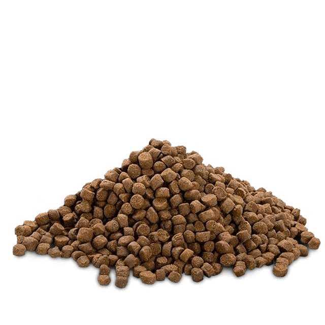 Bully Max 24/14 High Protein & Growth Puppy Food - Pet Supplies online store