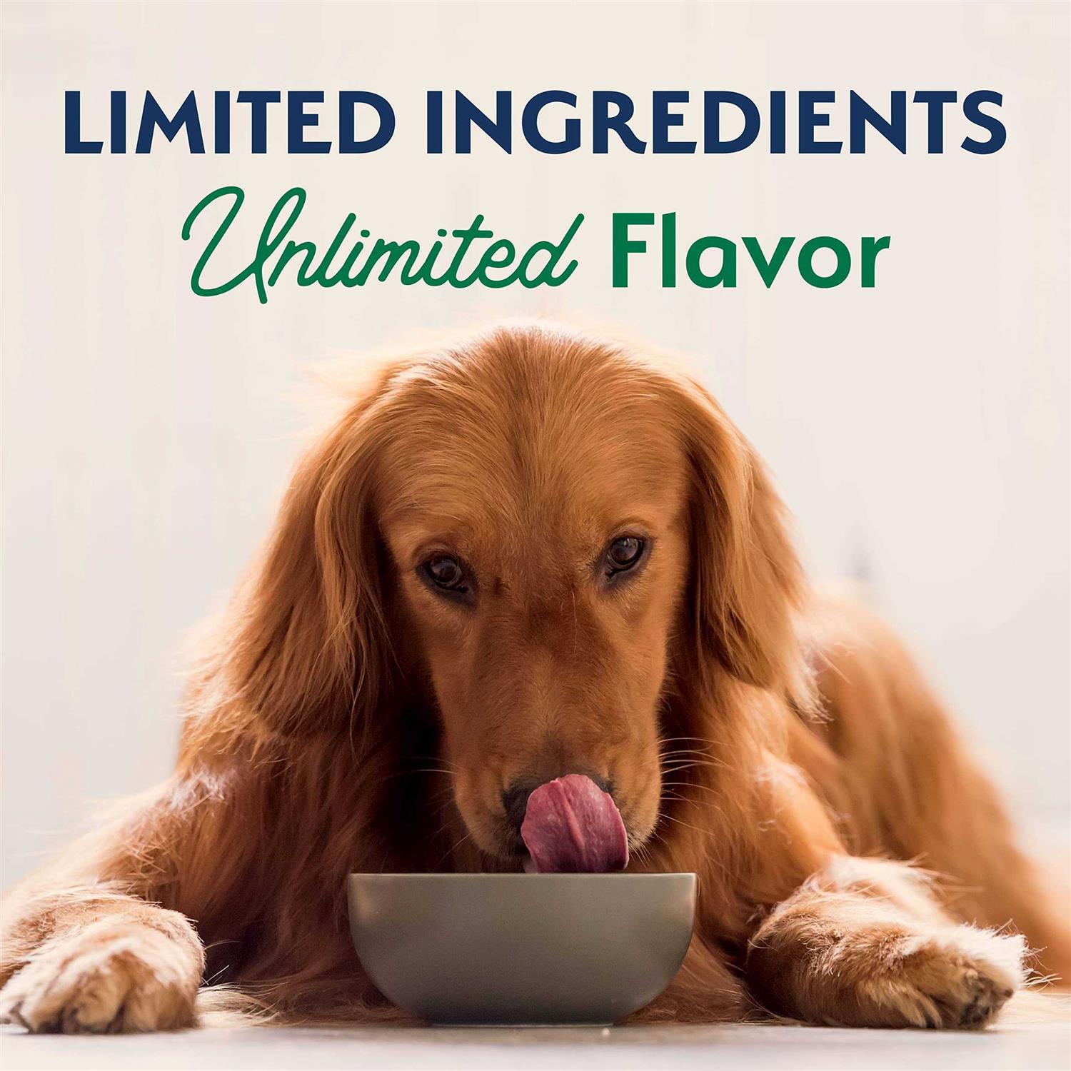 Natural Balance Limited Ingredient Diets Lamb & Brown Rice Dry Dog Food - Pet Supplies online store