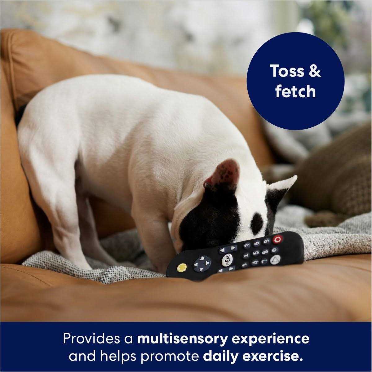 Frisco Zoomies & Chill Remote Latex Squeaky Dog Toy - Pet Supplies online store