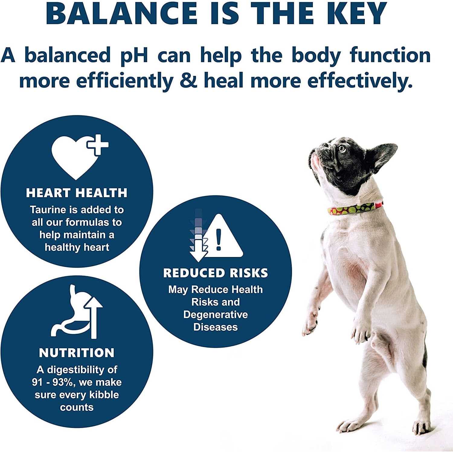 Canine Caviar Free Spirit Holistic Dry Dog Food - Pet Supplies online store