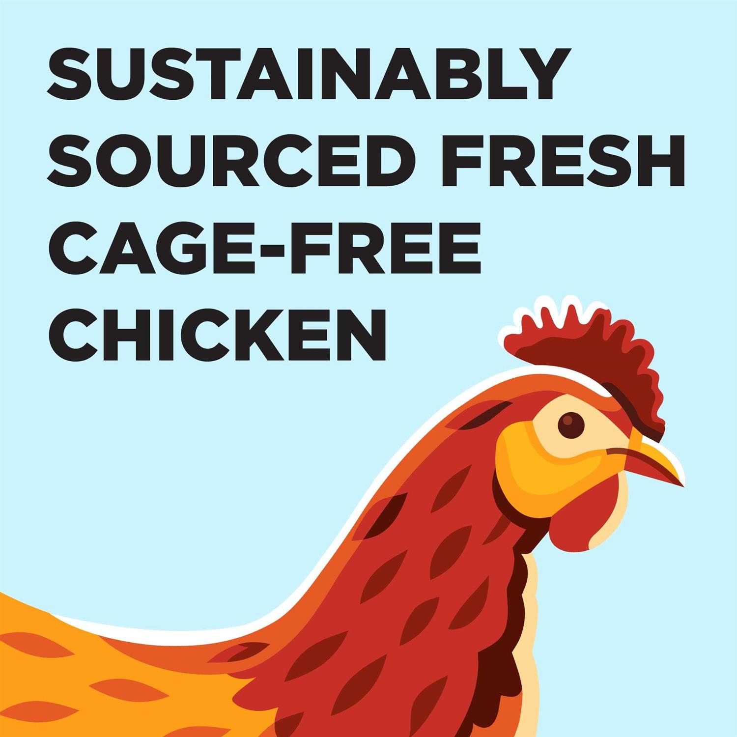 BIXBI Liberty Chicken Recipe Dry Cat Food - Pet Supplies online store