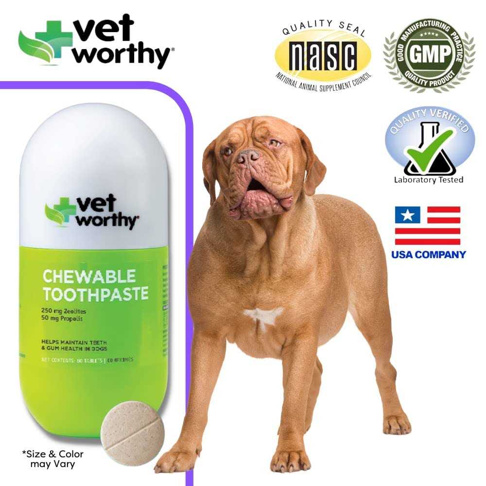 Vet Worthy Chewable Dog Toothpaste - Pet Supplies online store