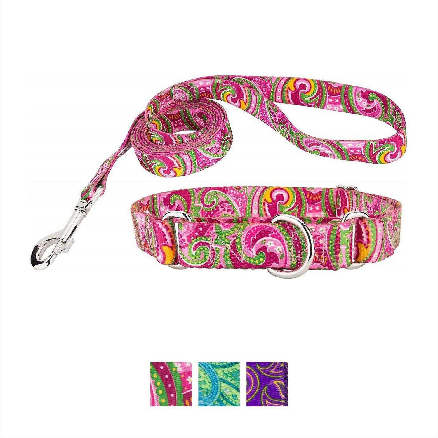 Country Brook Petz Martingale Dog Collar - Pet Supplies online store