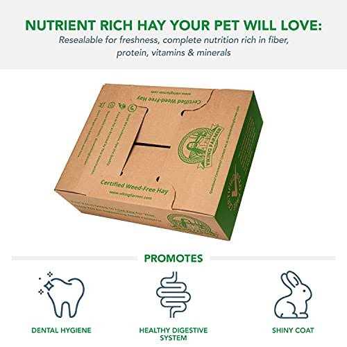 Viking Farmer Alfalfa Hay for Rabbits & Small Pets - Pet Supplies online store