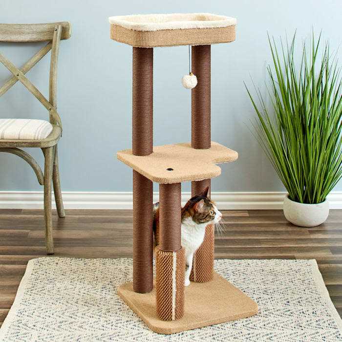Two by Two Beech 39-inch Cat Tree - Pet Supplies online store