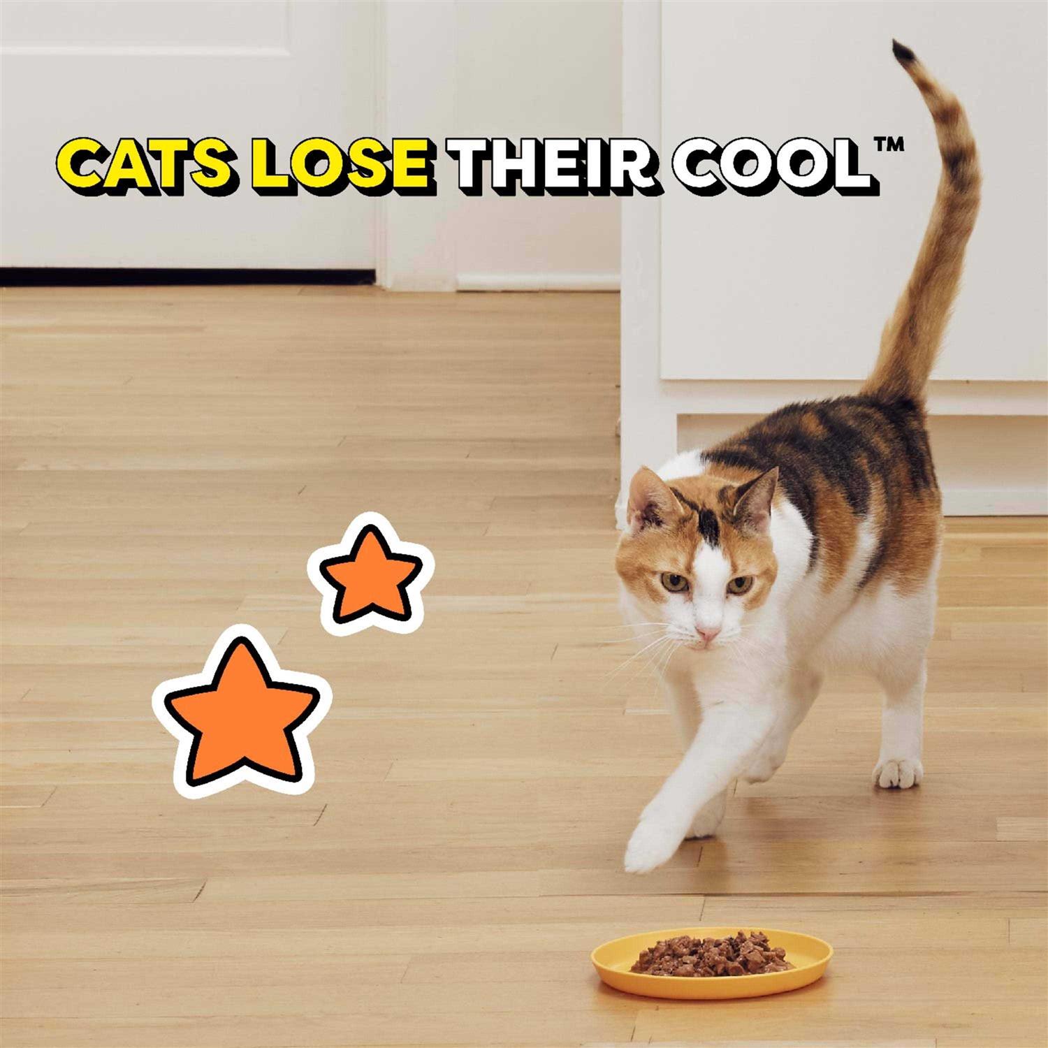 Temptations Tasty Chicken Flavor Gravy Wet Cat Food - Pet Supplies online store