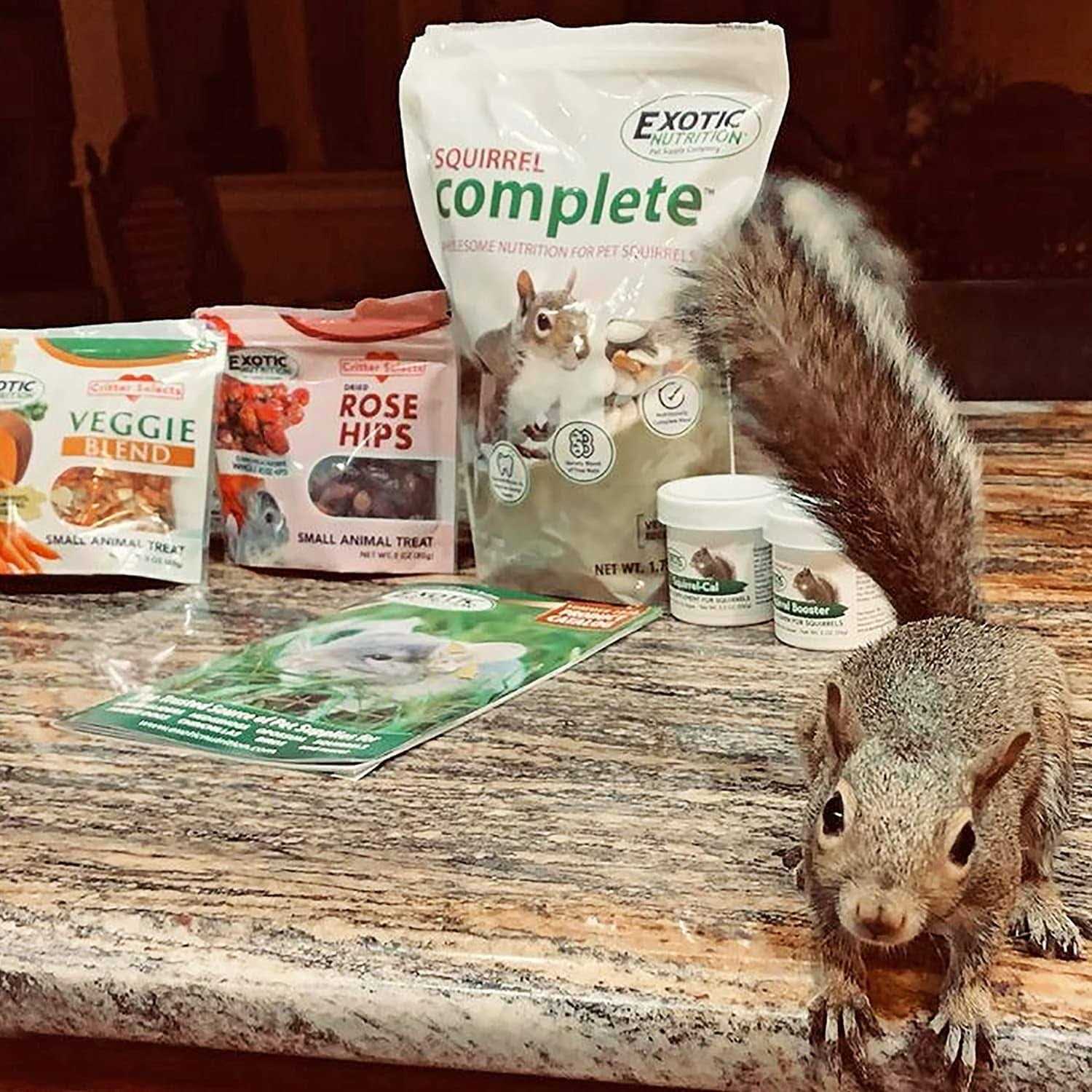 Squirrel Food Starter Package Includes Nutritionally Complete Diet - Pet Supplies online store