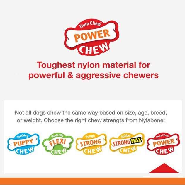 Nylabone Power Chew Customer Favorites Dog Chew Toys Bundle - Pet Supplies online store