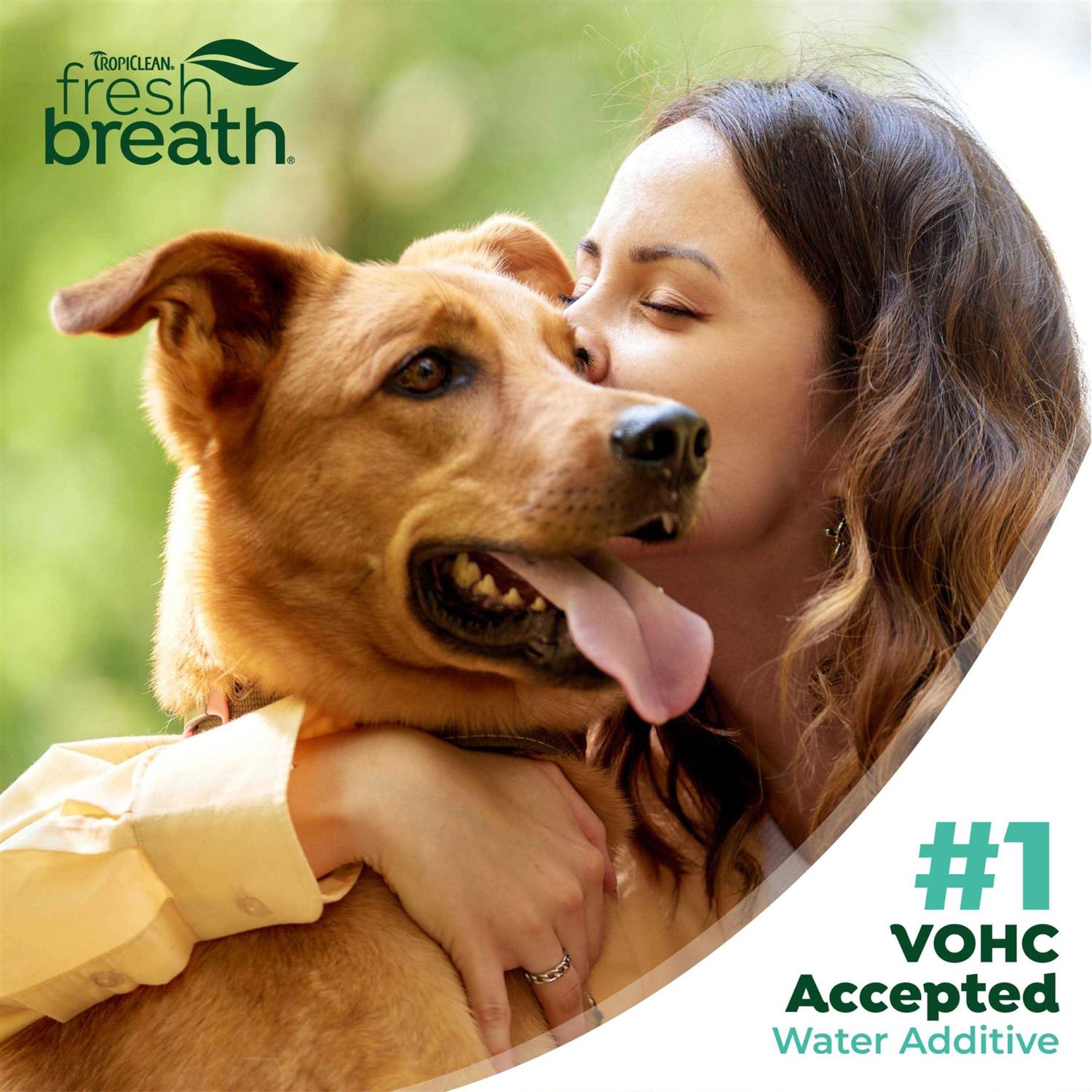 TropiClean Fresh Breath Original Dog Oral Care Water Additive Dog Breath Freshener Additive for Dental Health - Pet Supplies online store