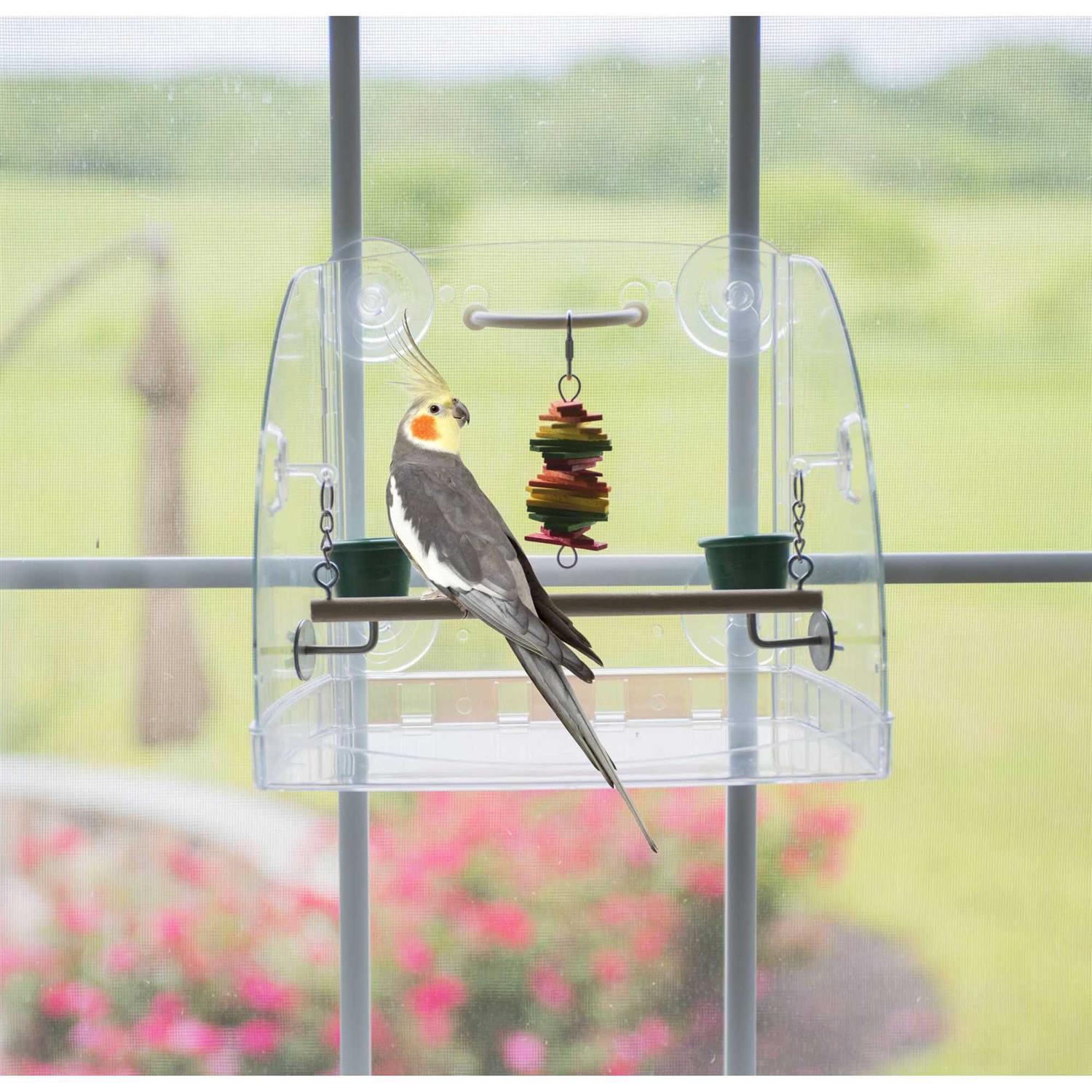 Window Play Center - Pet Supplies online store