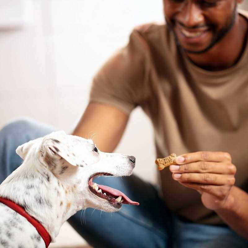 Milk-Bone Flavor Snacks Dog Treats Mini - Pet Supplies online store