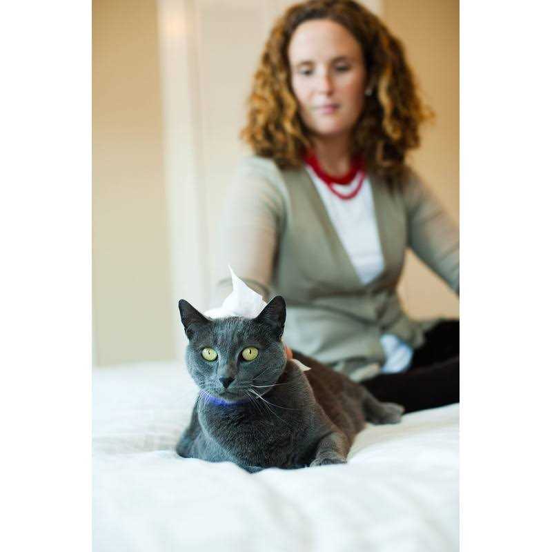 VetWELL Ketowell Topical Wipes with Ketoconazole for Dogs & Cats Medicated Pet Wipes - Pet Supplies online store