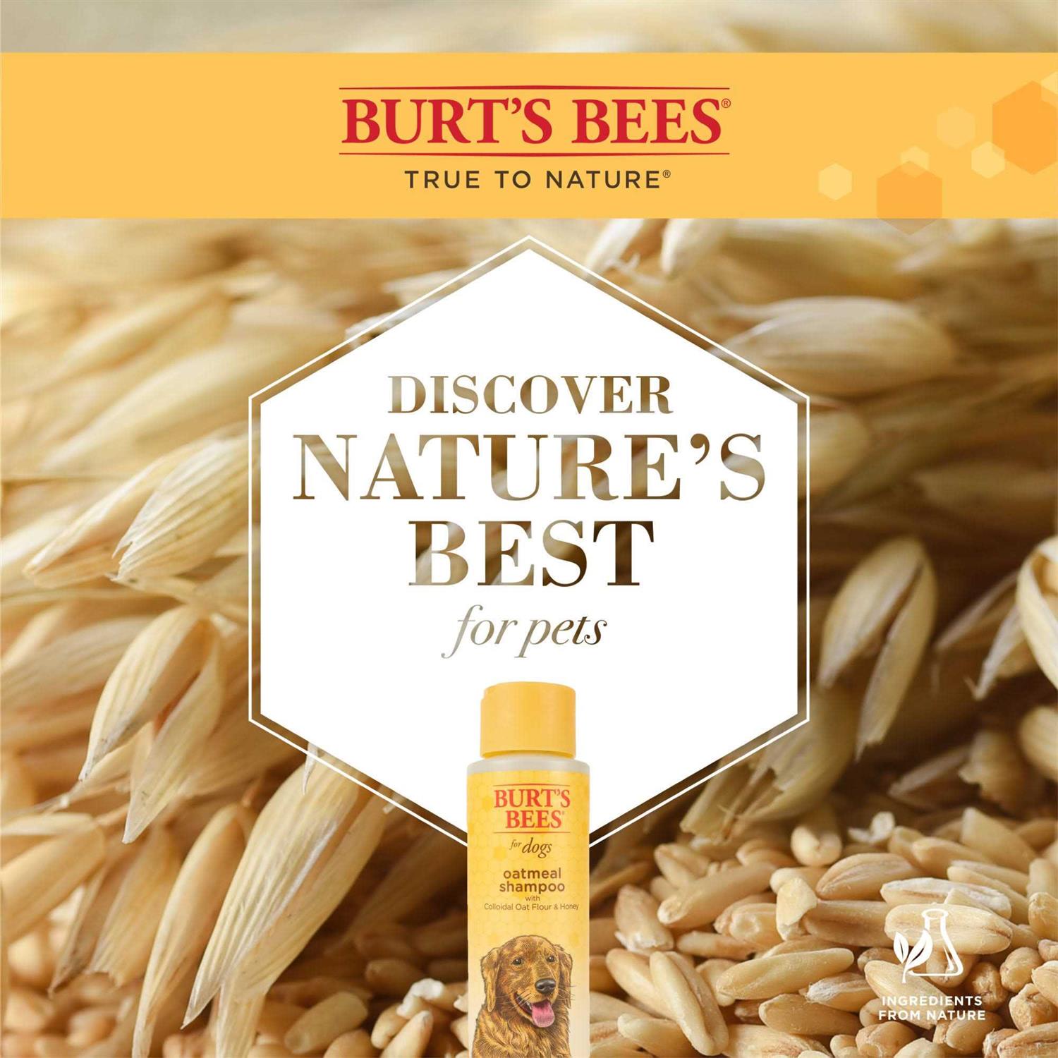 Burt's Bees Oatmeal Shampoo - Pet Supplies online store