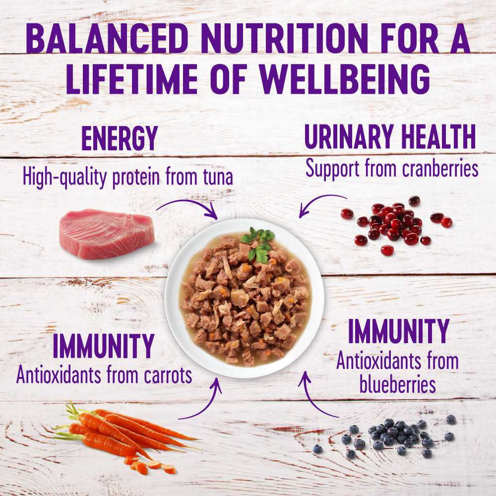 Wellness Healthy Indulgence Natural Grain Free Gravies and Gravy Cat Food Pouch - Pet Supplies online store