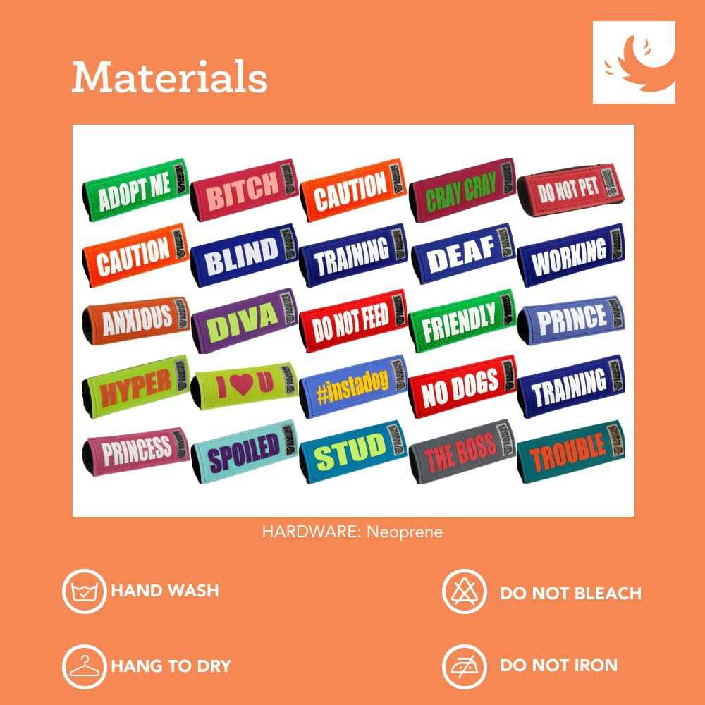 Bark Notes Dog Collar and Leash - Pet Supplies online store