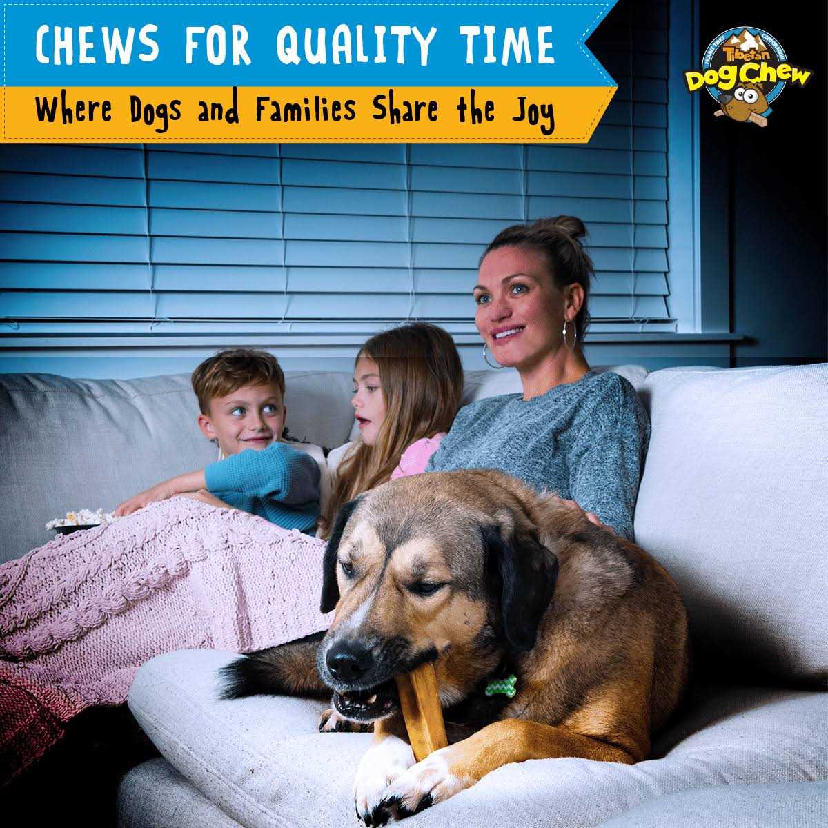 Tibetan Dog Chew Himalayan Yak Cheese Bone for X-Large Dogs - Pet Supplies online store