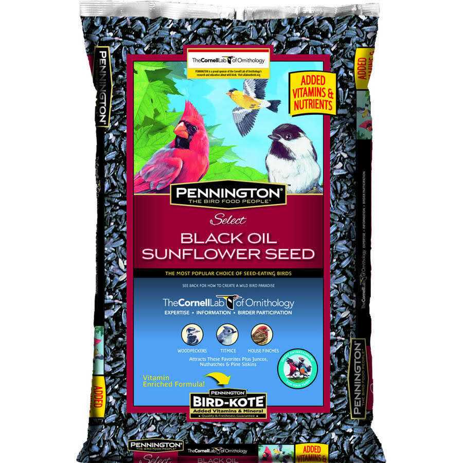 Pennington Select Black Oil Sunflower Seed Wild Bird Feed - Pet Supplies online store