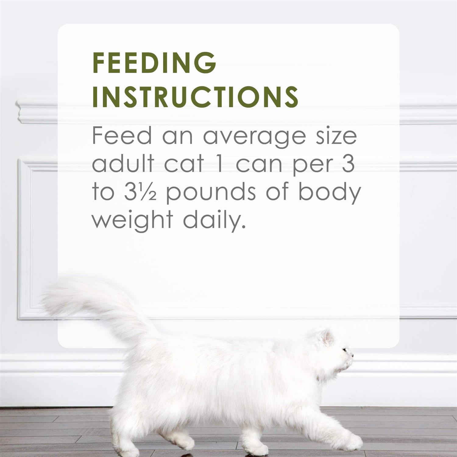 Fancy Feast Classic Turkey & Giblets Feast Canned Cat Food - Pet Supplies online store