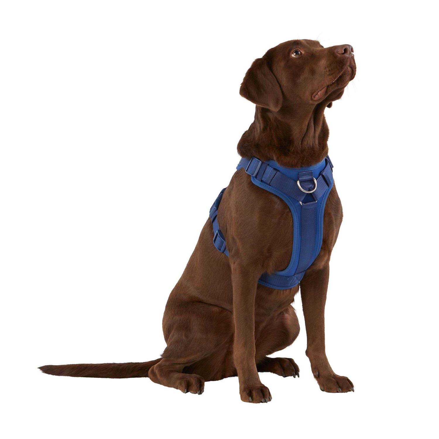 Top Paw Neoprene Comfort Dog Harness - Pet Supplies online store
