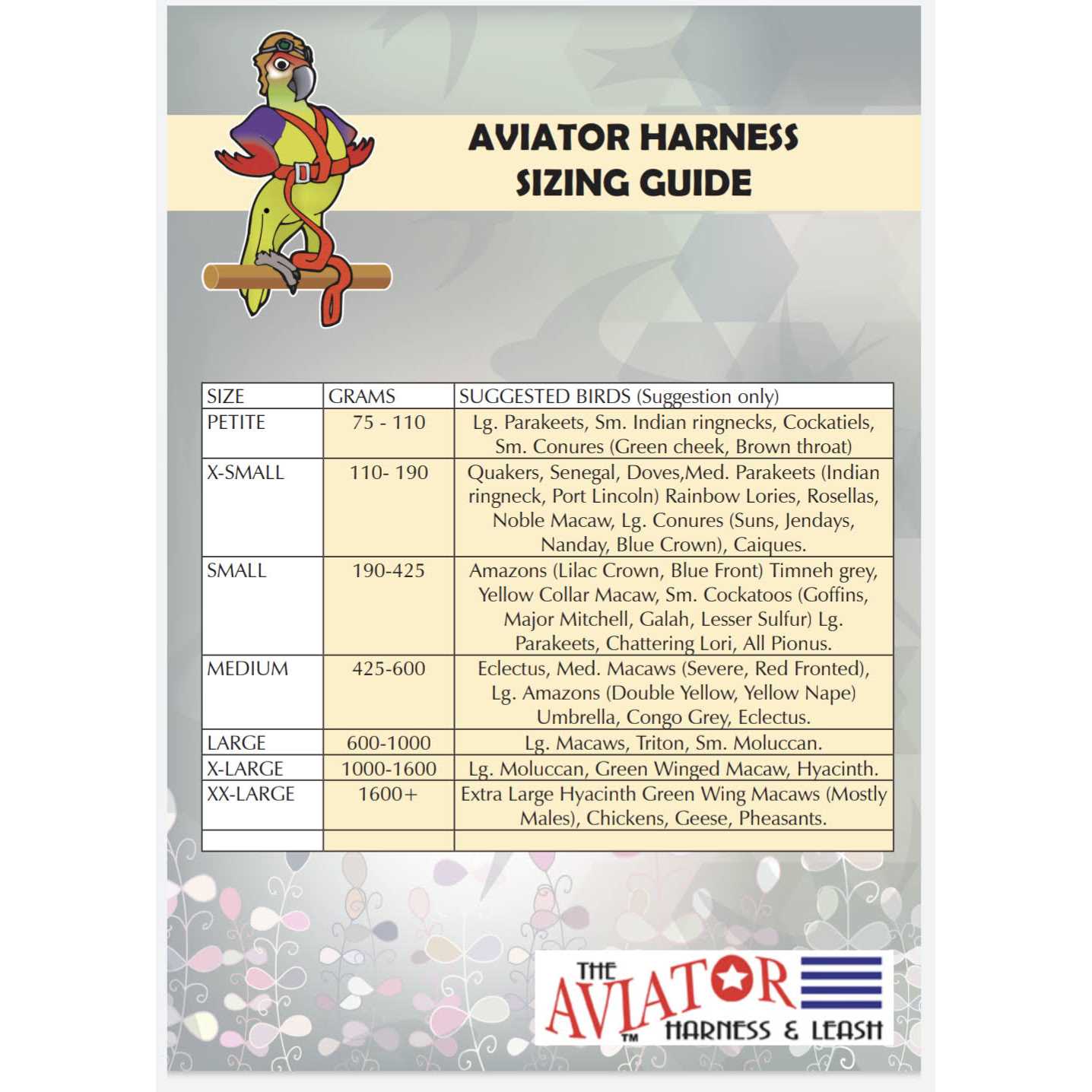 The Aviator Bird Harness and Leash - Pet Supplies online store