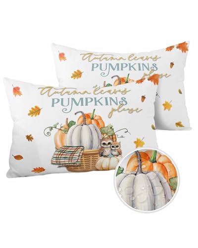 Outdoor Pillow Covers Waterproof, Autumn Pumpkins Throw Pillowcase Decorative Cover, Rustic Owl Maple Leaf Black Wooden Garden Cushion Case Set of 2 for Sofa, Couch, Tent, Patio, 16