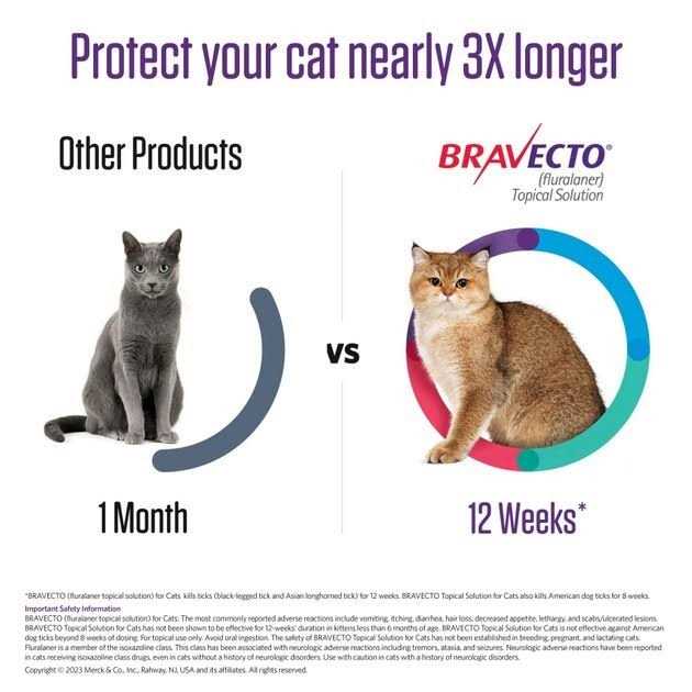 6.2-13.8 lbs Bravecto Topical Solution for Cats - Pet Supplies online store