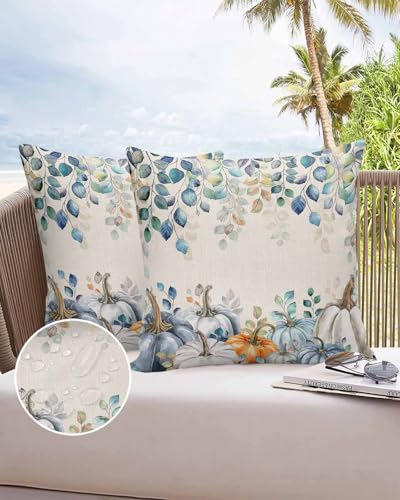 Outdoor Pillow Covers Waterproof, Blue White Pumpkins Throw Pillowcase Decorative Cover, Thanksgiving Eucalyptus Leaves Wooden Garden Cushion Case Set of 2 for Sofa Couch Tent Patio, 16