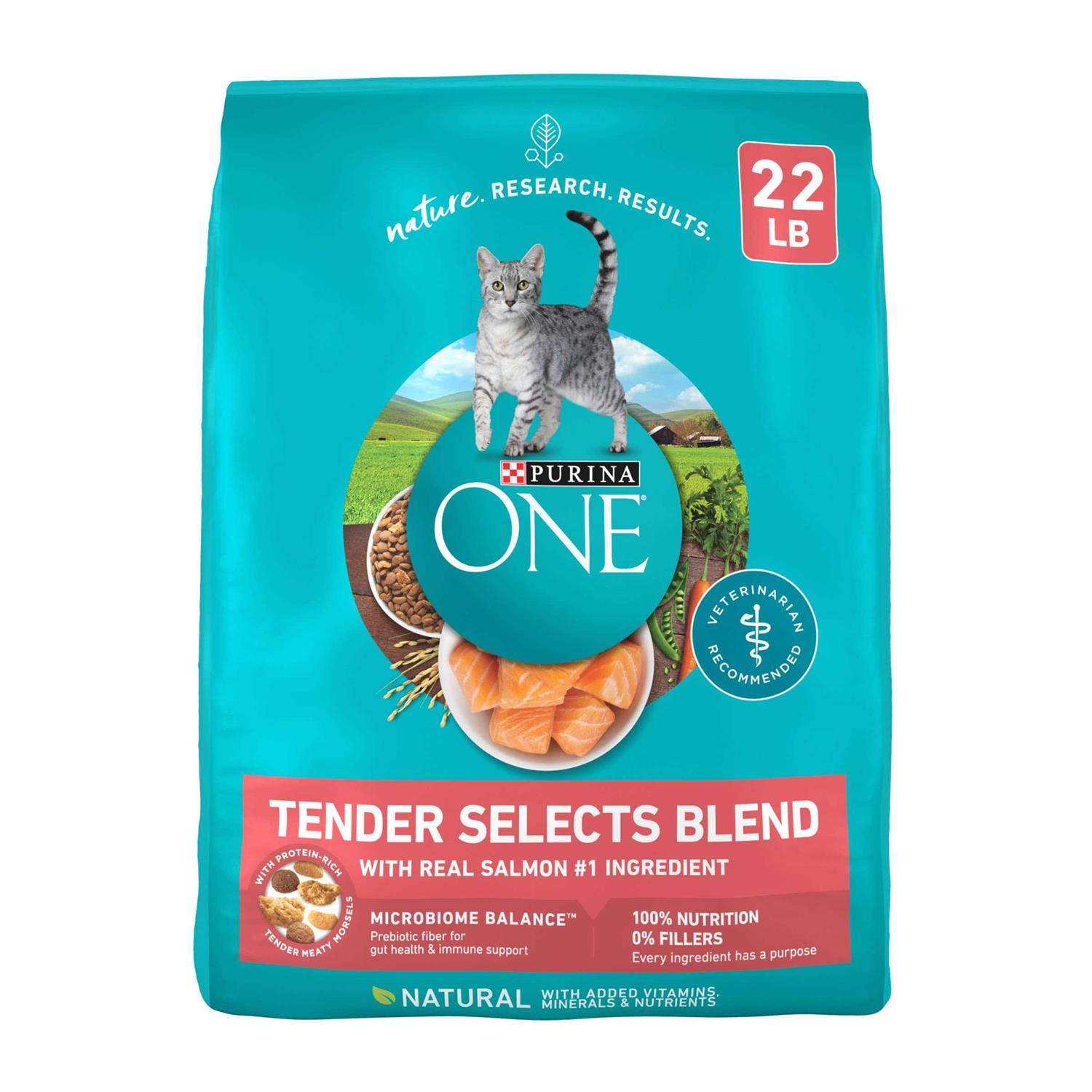 Purina ONE Smartblend Dry Cat Food - Pet Supplies online store