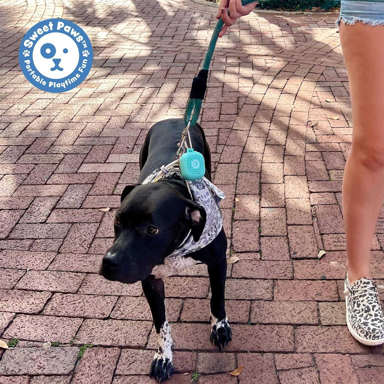 Sweet Paws Perfect Paws Portable Dog Towel - Pet Supplies online store