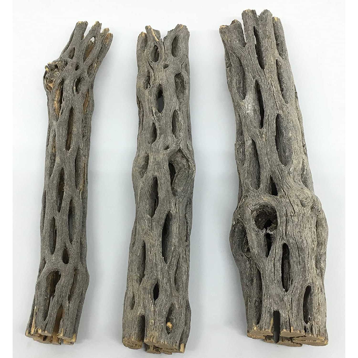 Awesome Aquatic Natural Cholla/Choya Wood 3 Pieces 6 for Shrimp Habitat and Food Treat Hermit Crabs Plecos Aquarium Decoration Lowers pH Hideouts and - Pet Supplies online store