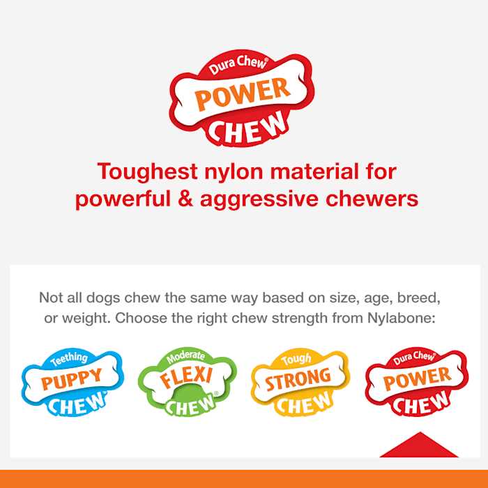 Nylabone Power Basted Blast Dual Flavored Dog Chew Toys - Pet Supplies online store