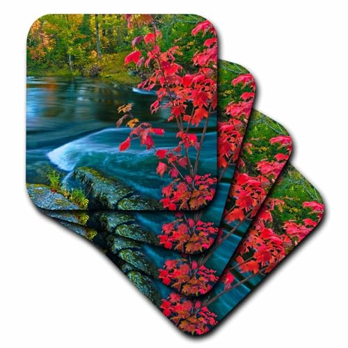 Set of 8 Ceramic Tile Coasters - Canada, Ontario, Sioux Narrows. Red Maple in Autumn at Dryberry Creek Landscape