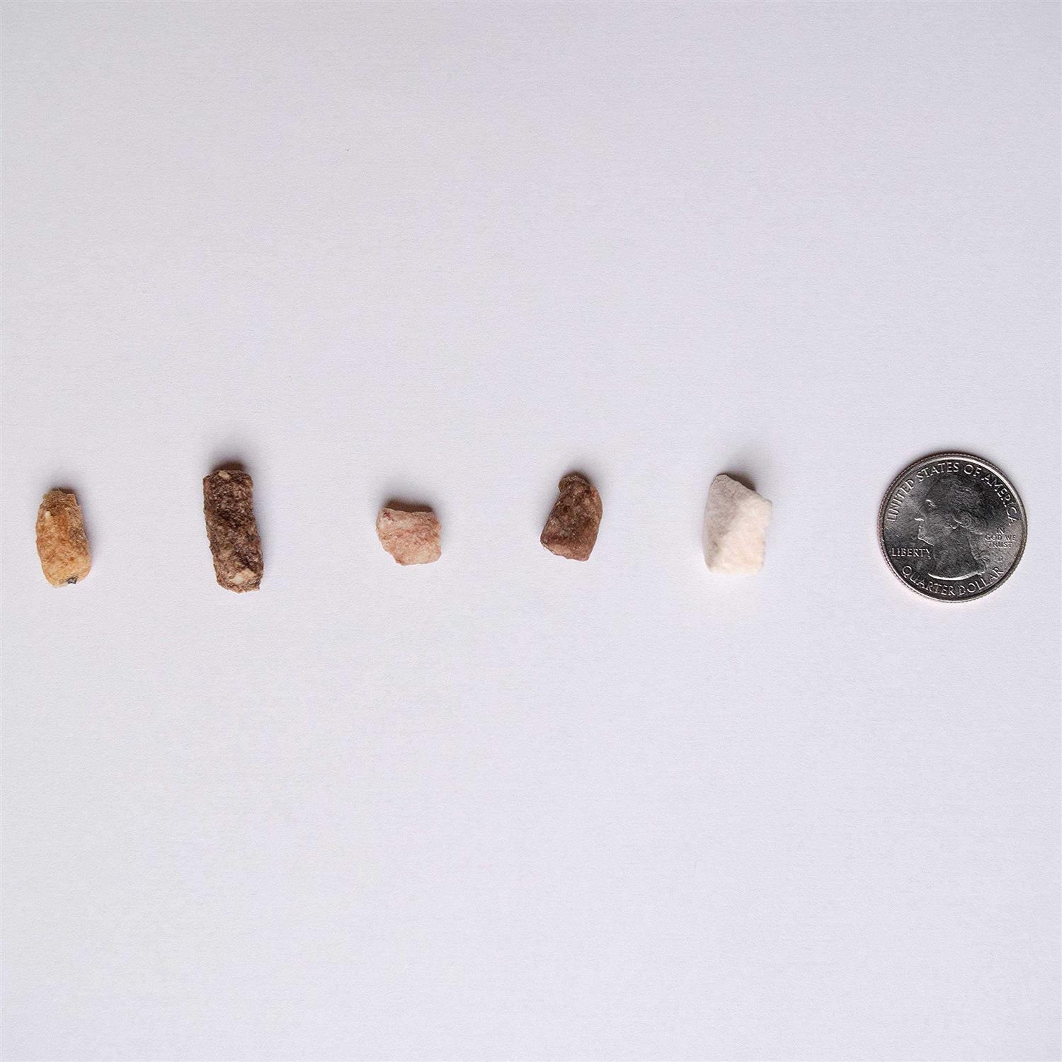 Pupford Freeze Dried Training Dog Treats - Pet Supplies online store