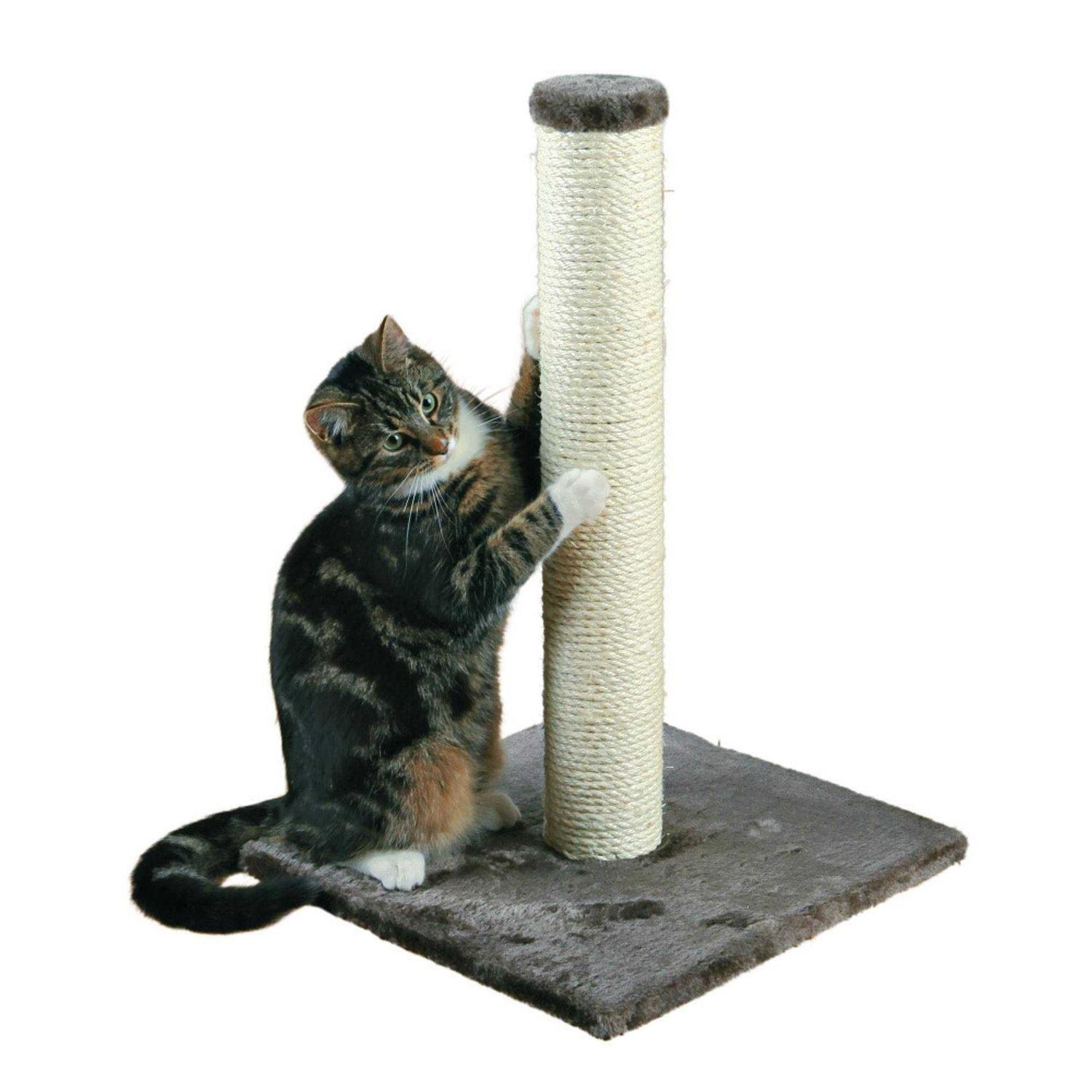 Trixie Parla Scratching Post - Pet Supplies online store