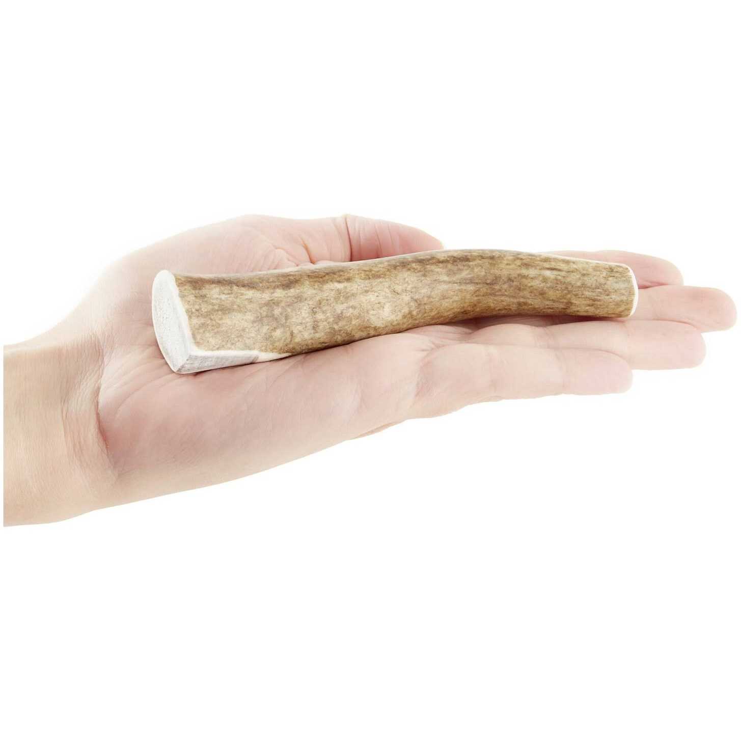 Kong Whole Wild Elk Antler - Pet Supplies online store