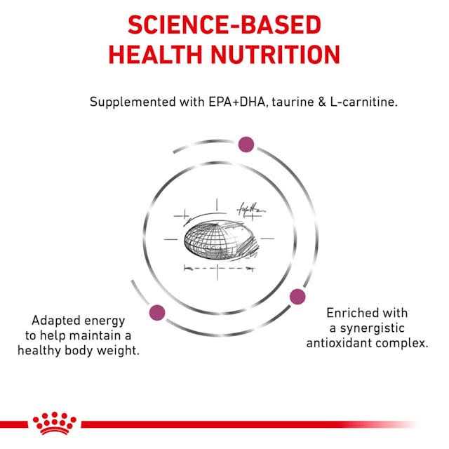 Royal Canin Veterinary Diet Canine Renal Support D Morsels in Gravy Canned Dog Food - Pet Supplies online store