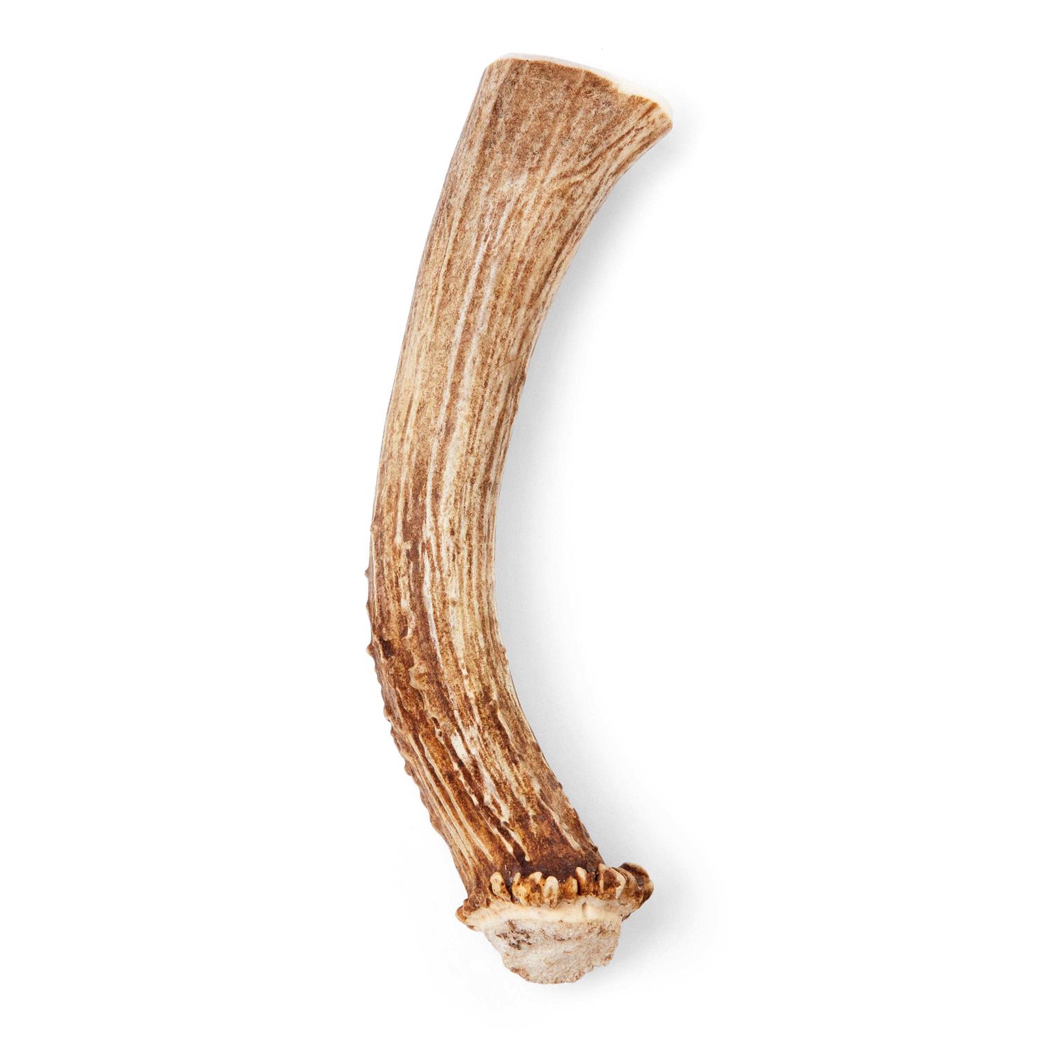 Good Lovin' Naturally Shed Whole Deer Antler Dog Chew - Pet Supplies online store