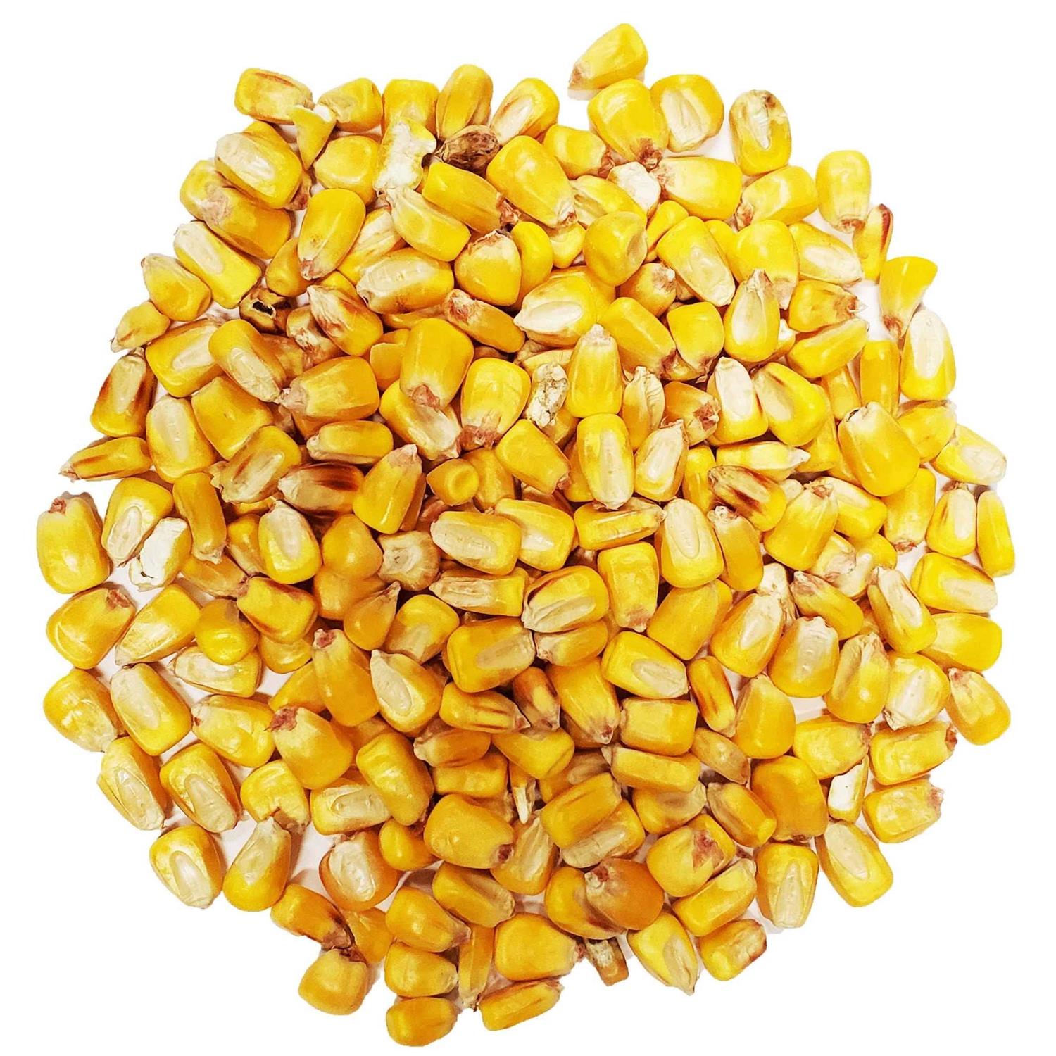 CountryMax Bulk Whole Corn for Wildlife Feeding - Pet Supplies online store