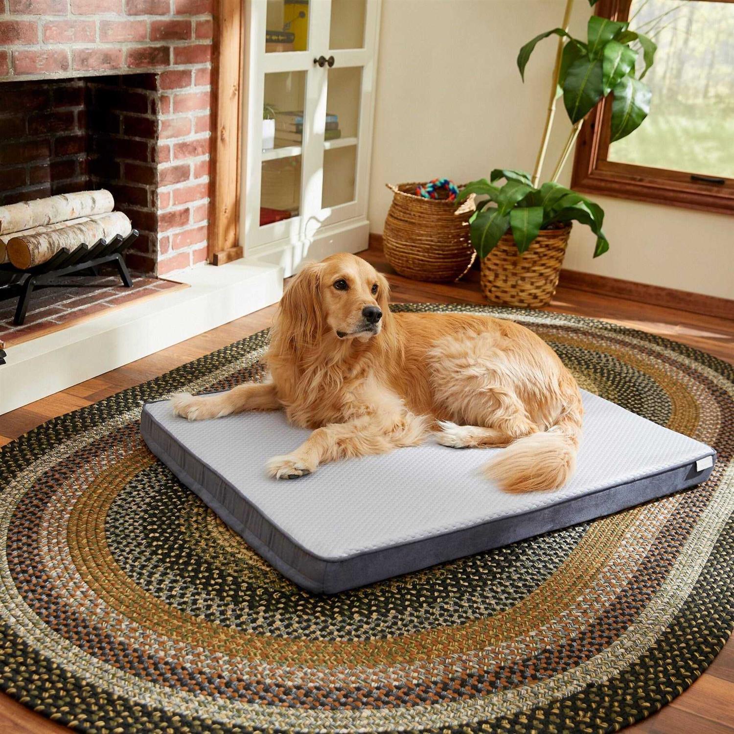 Frisco Cooling Orthopedic Pillow Dog Bed w/Removable COVER Large - Pet Supplies online store