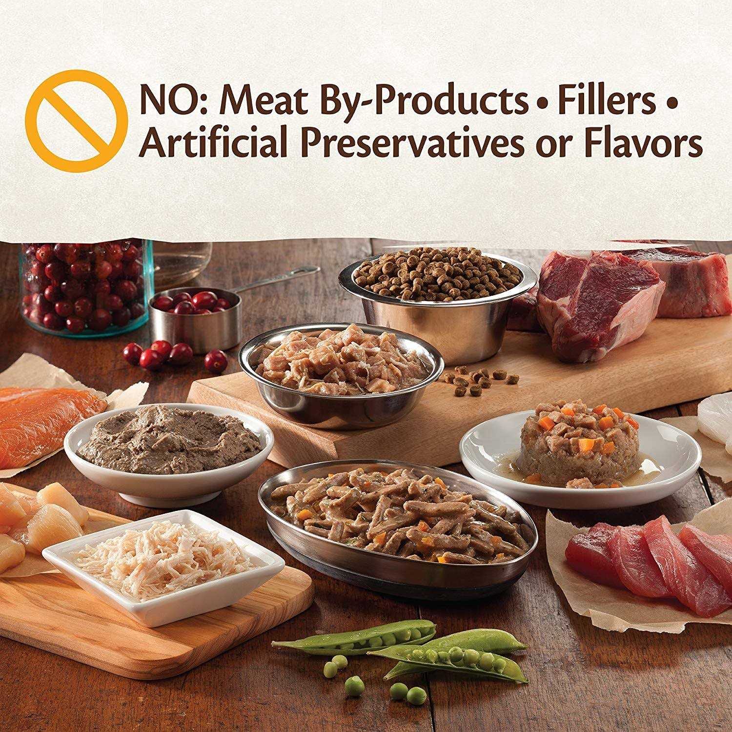 Wellness CORE Natural Grain Free Indoor Chicken & Chicken Liver Smooth Pate Wet Canned Cat Food - Pet Supplies online store