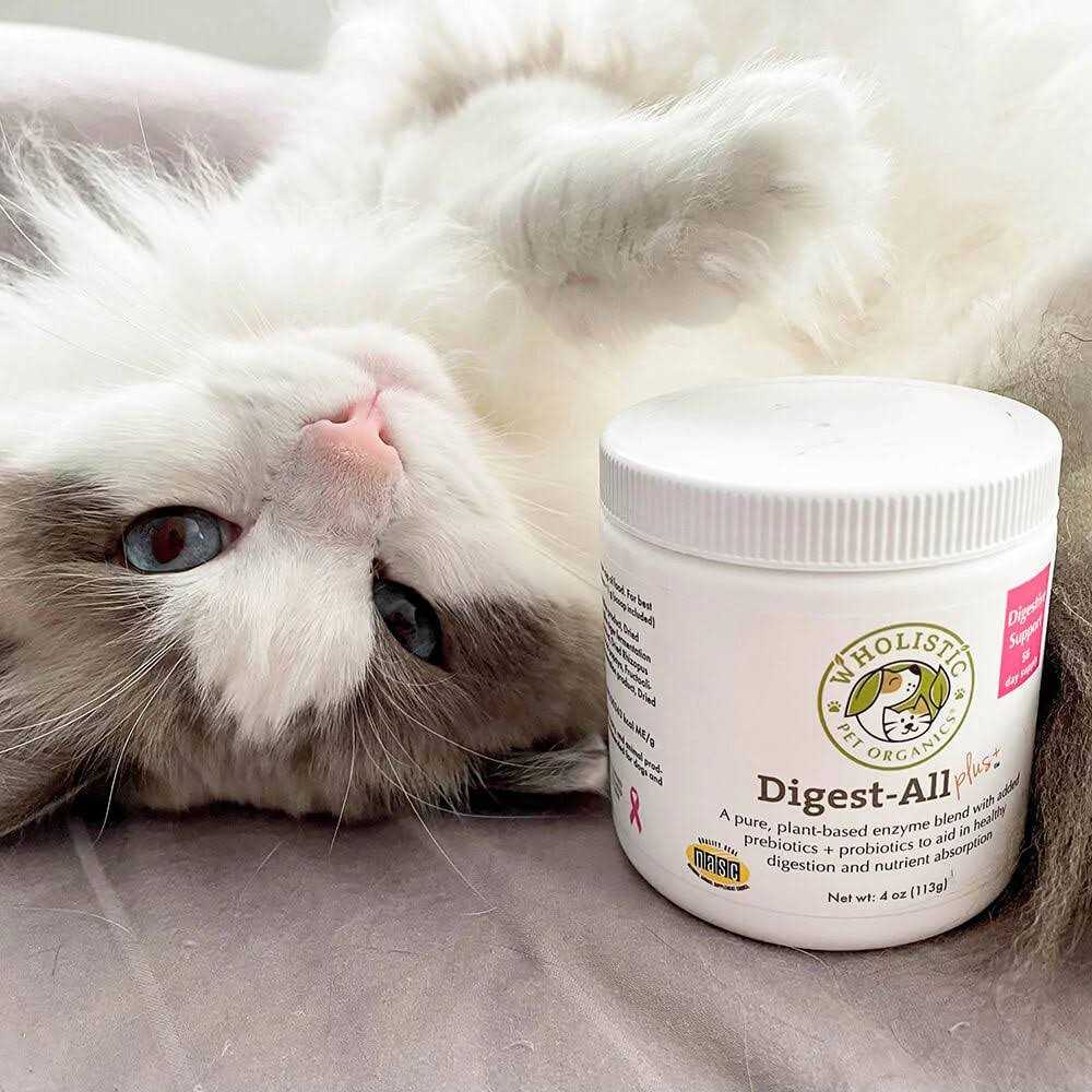 Wholistic Pet Organics Digest All Plus - Pet Supplies online store