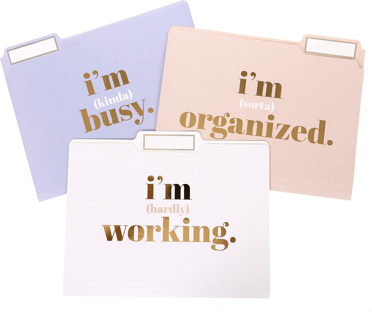 Graphique Designer “I’m Busy” File Folders | Set of 9 (3 Designs) | Letter Size Organizers | Decorative Office Supplies | Durable Coated Cardstock | Gold Foil Lettering| 1/3-Cut Tabs