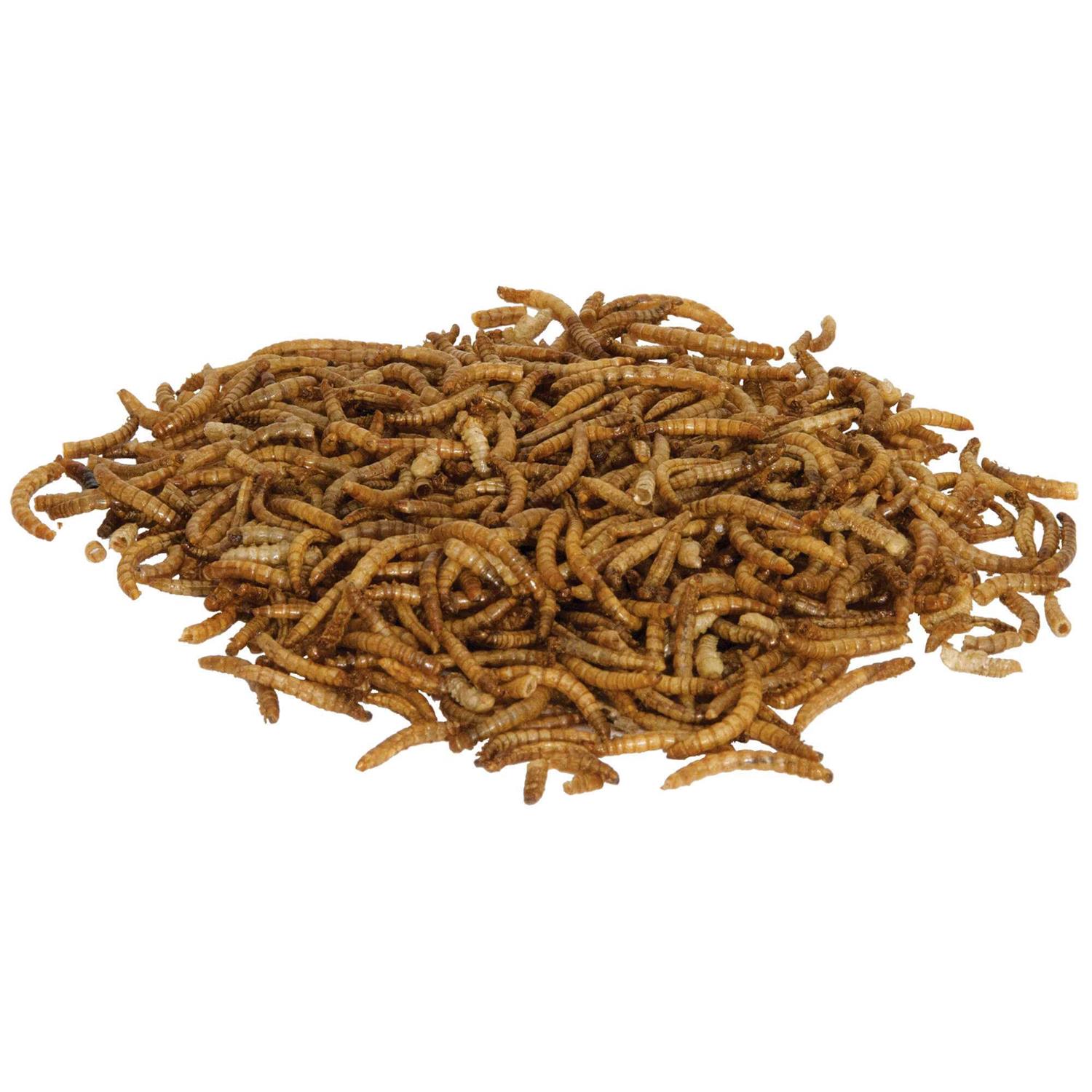 Zilla Munchies Mealworms Reptile - Pet Supplies online store