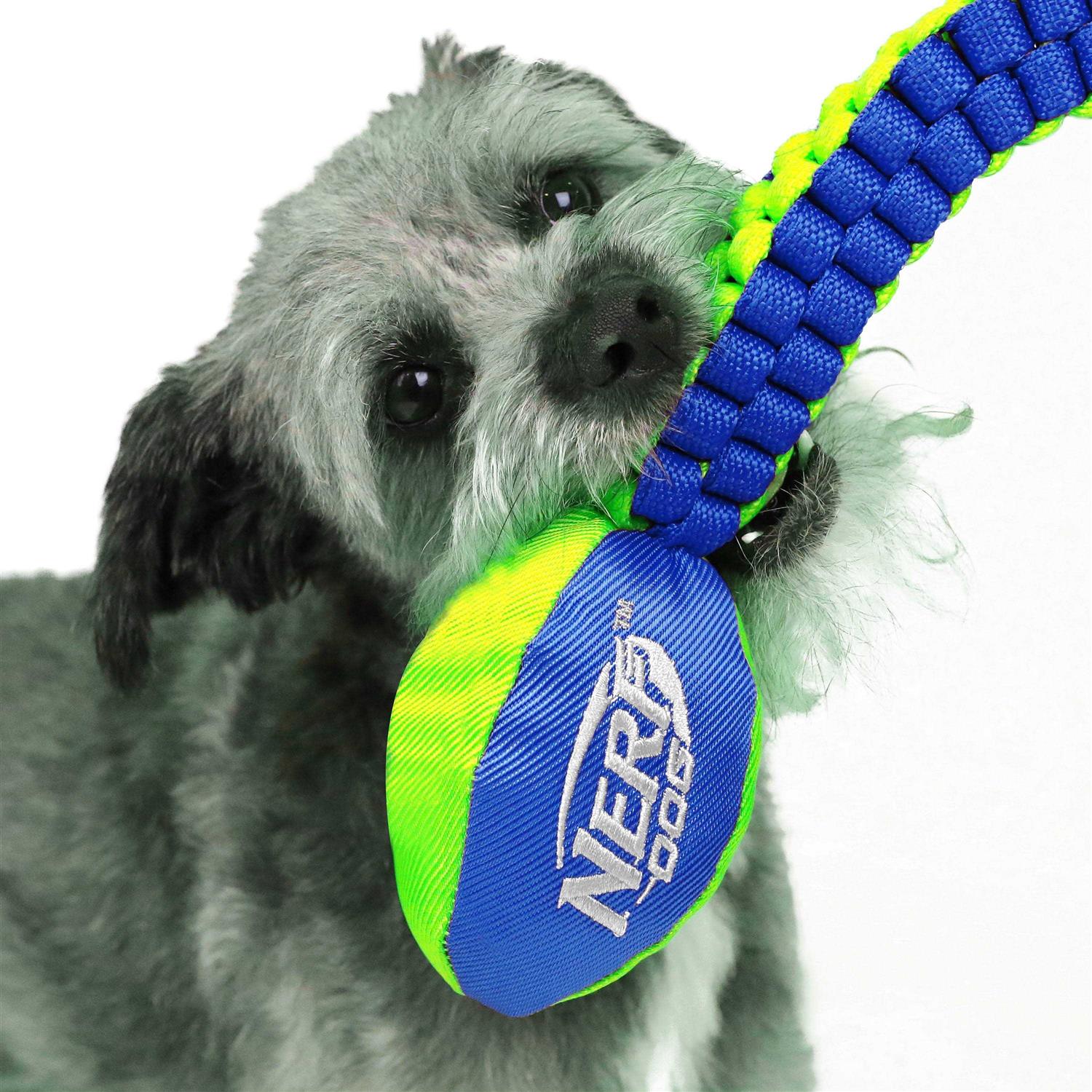 Nerf Vortex Chain Tug Dog Toy - Pet Supplies online store