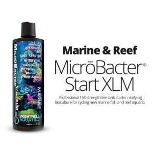 Brightwell Aquatics MicroBacter Start XLM - Pet Supplies online store