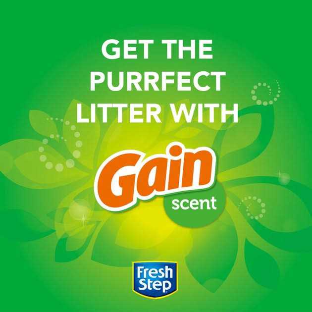 Fresh Step Febreze Freshness Clumping Cat Litter with Gain Scent - Pet Supplies online store