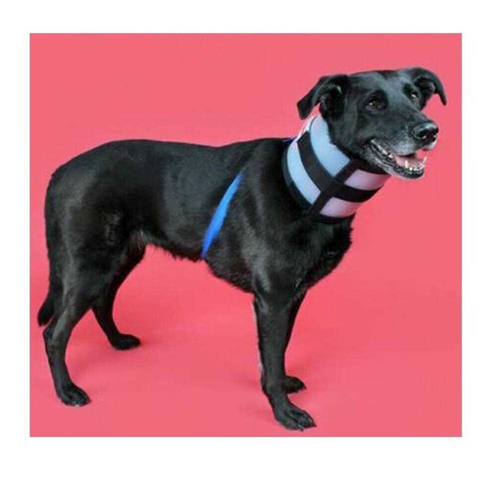 BiteNot Collar - Pet Supplies online store