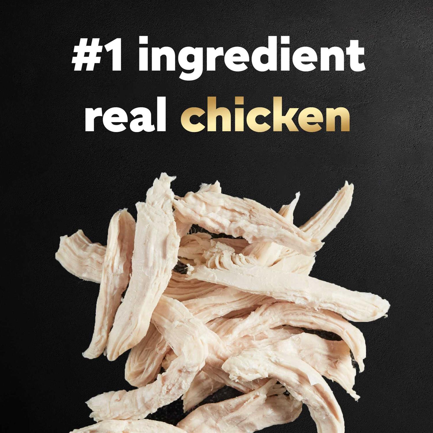 Cesar Simply Crafted Chicken Wet Dog Food - Pet Supplies online store