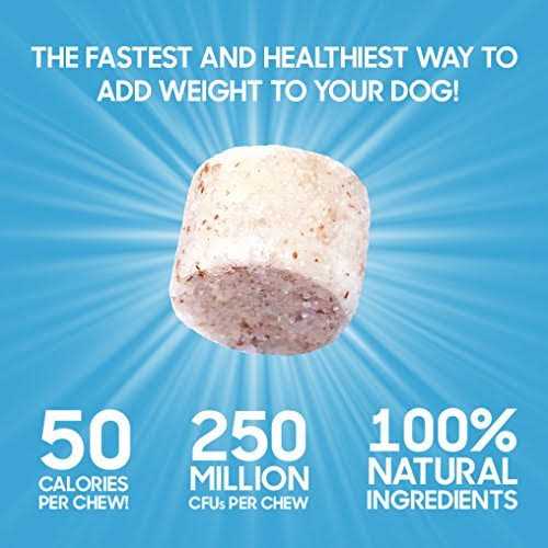 Bully Max Power Chews for Weight Gain - Pet Supplies online store